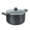 Omega Deluxe Granite Stock Pot With Lid